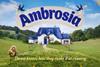 Ambrosia still_04.00090780